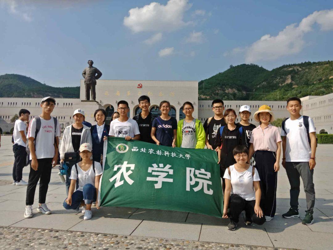 球球大作战下载最新版